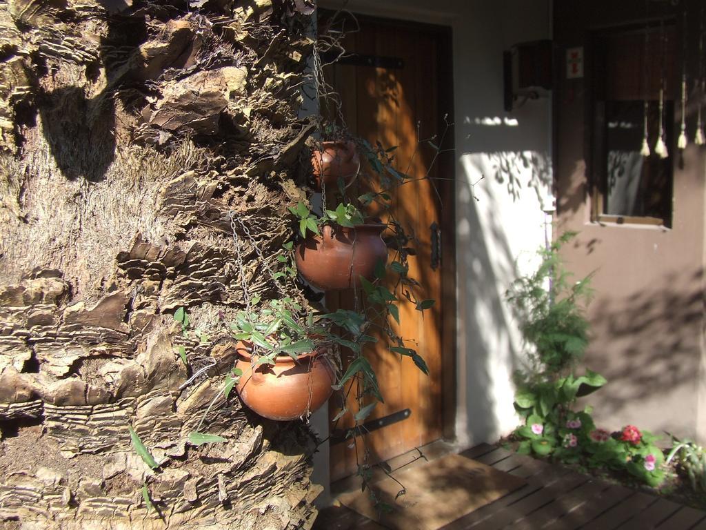 Hosteria Pascana San Salvador de Jujuy Dış mekan fotoğraf
