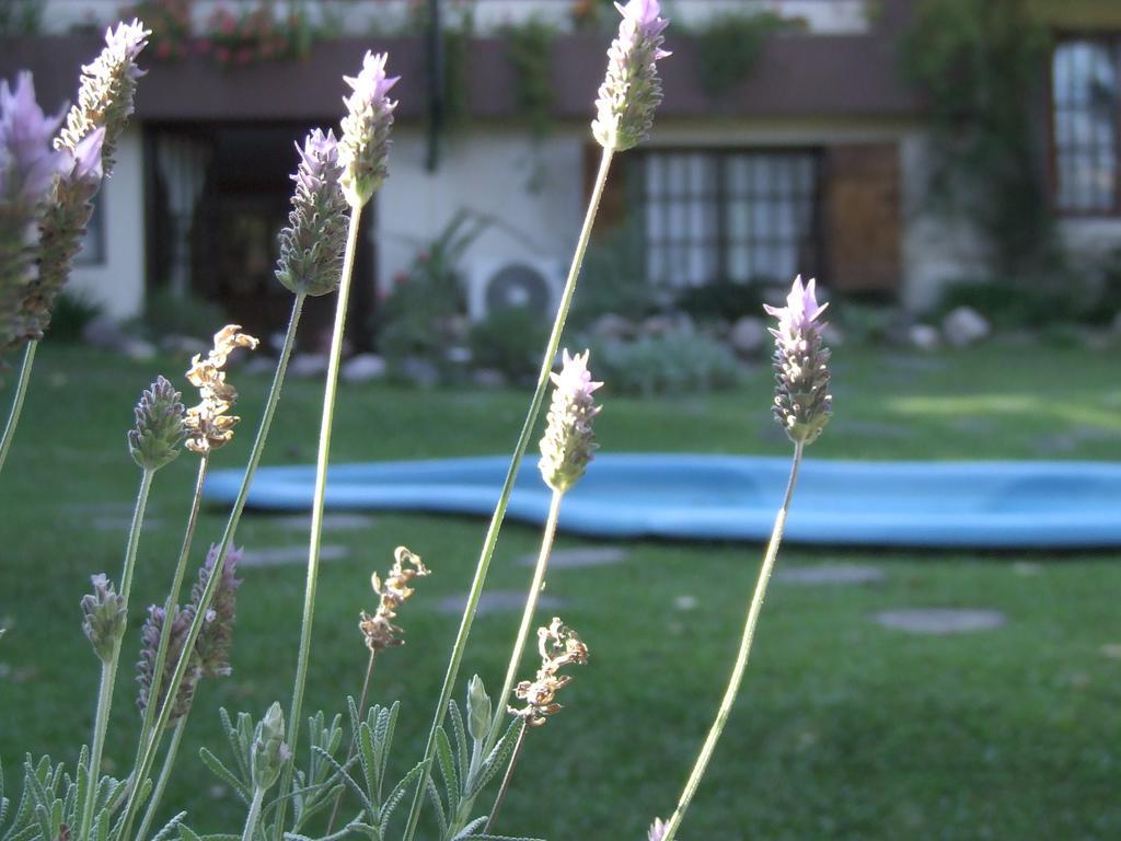 Hosteria Pascana San Salvador de Jujuy Dış mekan fotoğraf