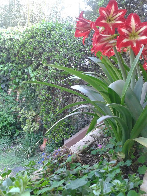 Hosteria Pascana San Salvador de Jujuy Dış mekan fotoğraf
