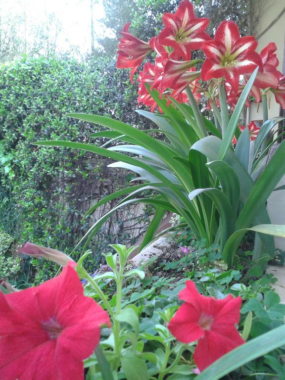 Hosteria Pascana San Salvador de Jujuy Dış mekan fotoğraf