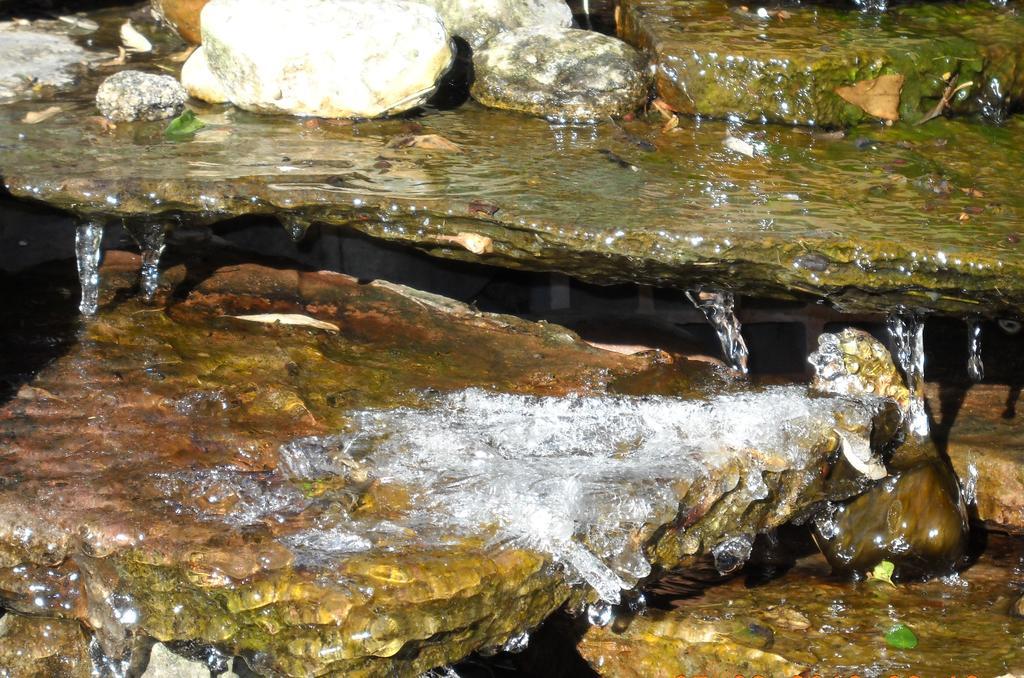 Hosteria Pascana San Salvador de Jujuy Dış mekan fotoğraf
