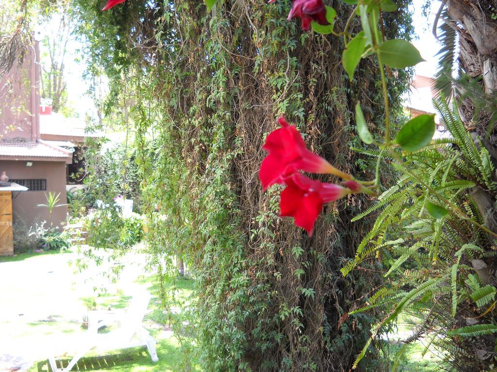 Hosteria Pascana San Salvador de Jujuy Dış mekan fotoğraf