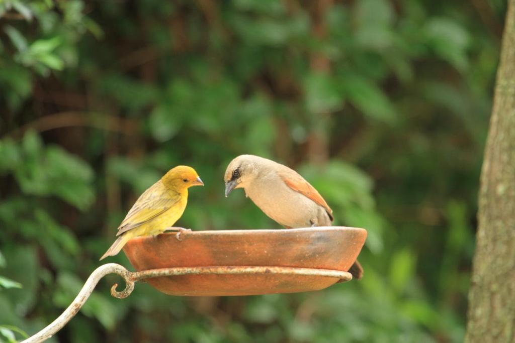 Hosteria Pascana San Salvador de Jujuy Dış mekan fotoğraf